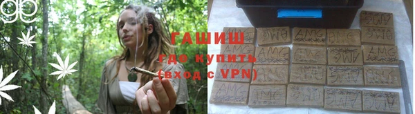 прущие грибы Алзамай