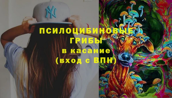 прущие грибы Алзамай