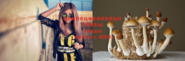 герыч Алексин