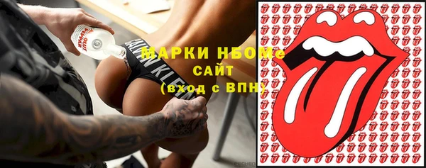 прущие грибы Алзамай